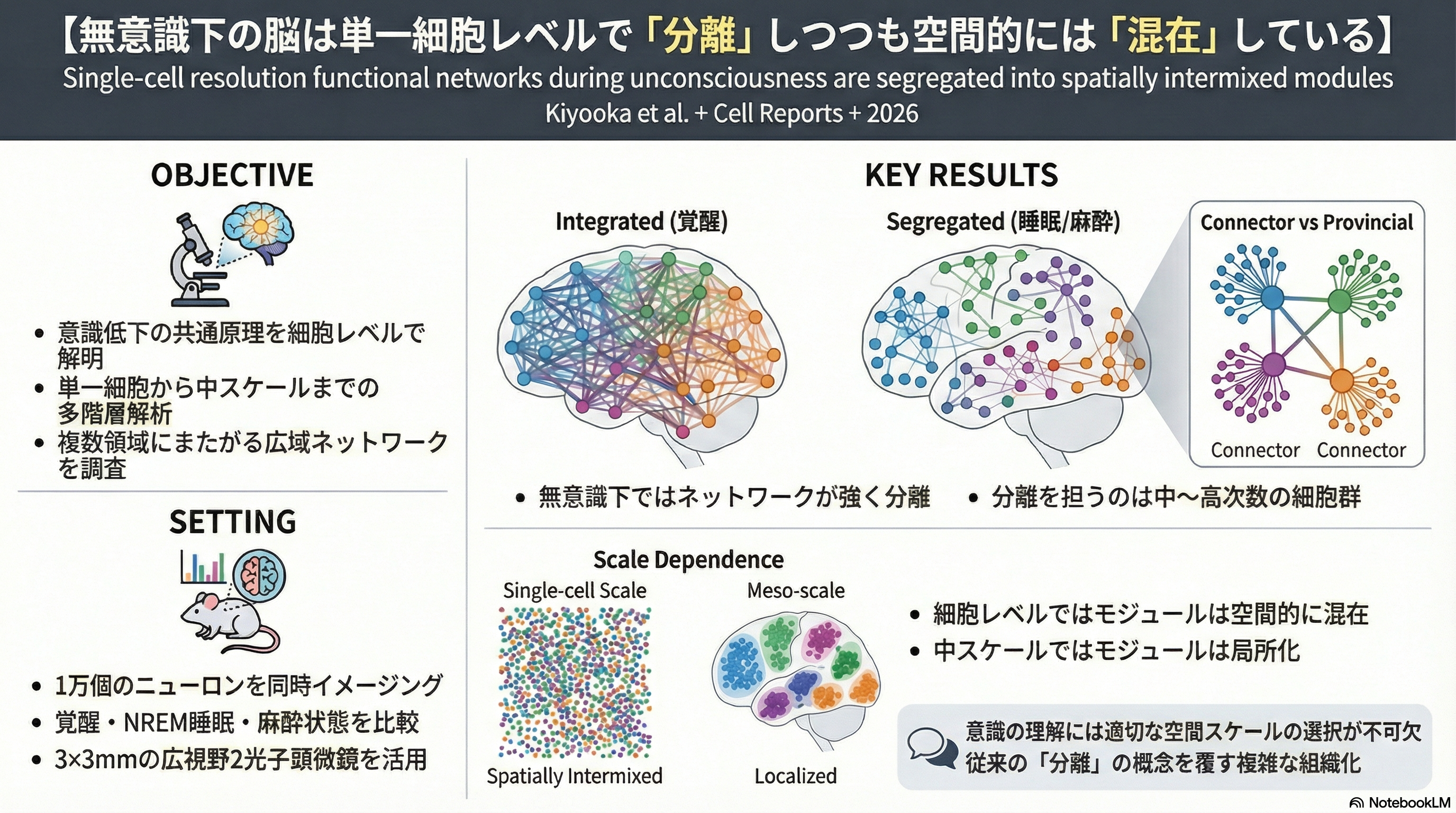 Single-cell resolution functional networks during unconsciousness